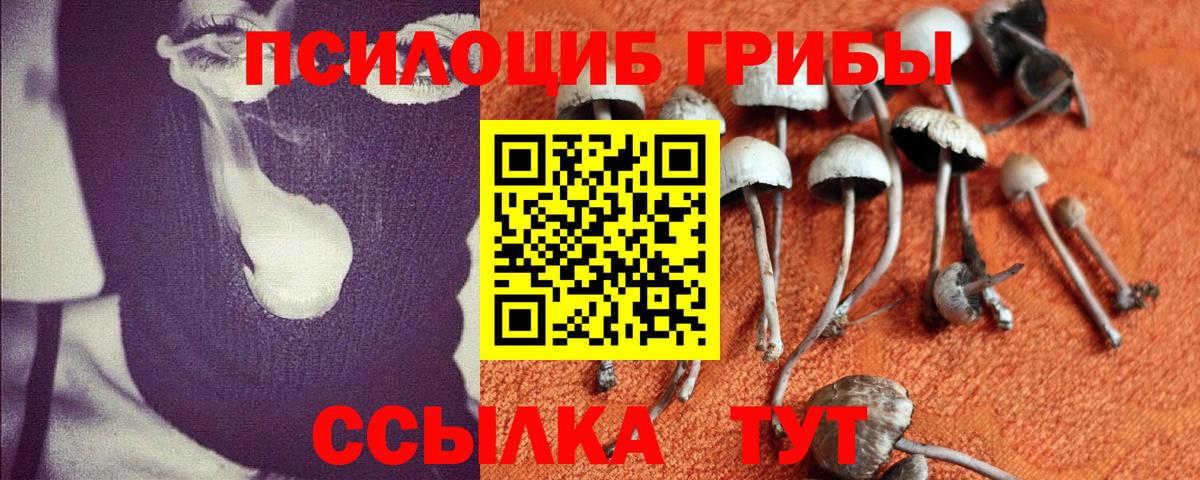 Псилоцибиновые грибы Psilocybine cubensis  Галлюциногенные грибы Cubensis  Вход с VPN  Кропоткин 